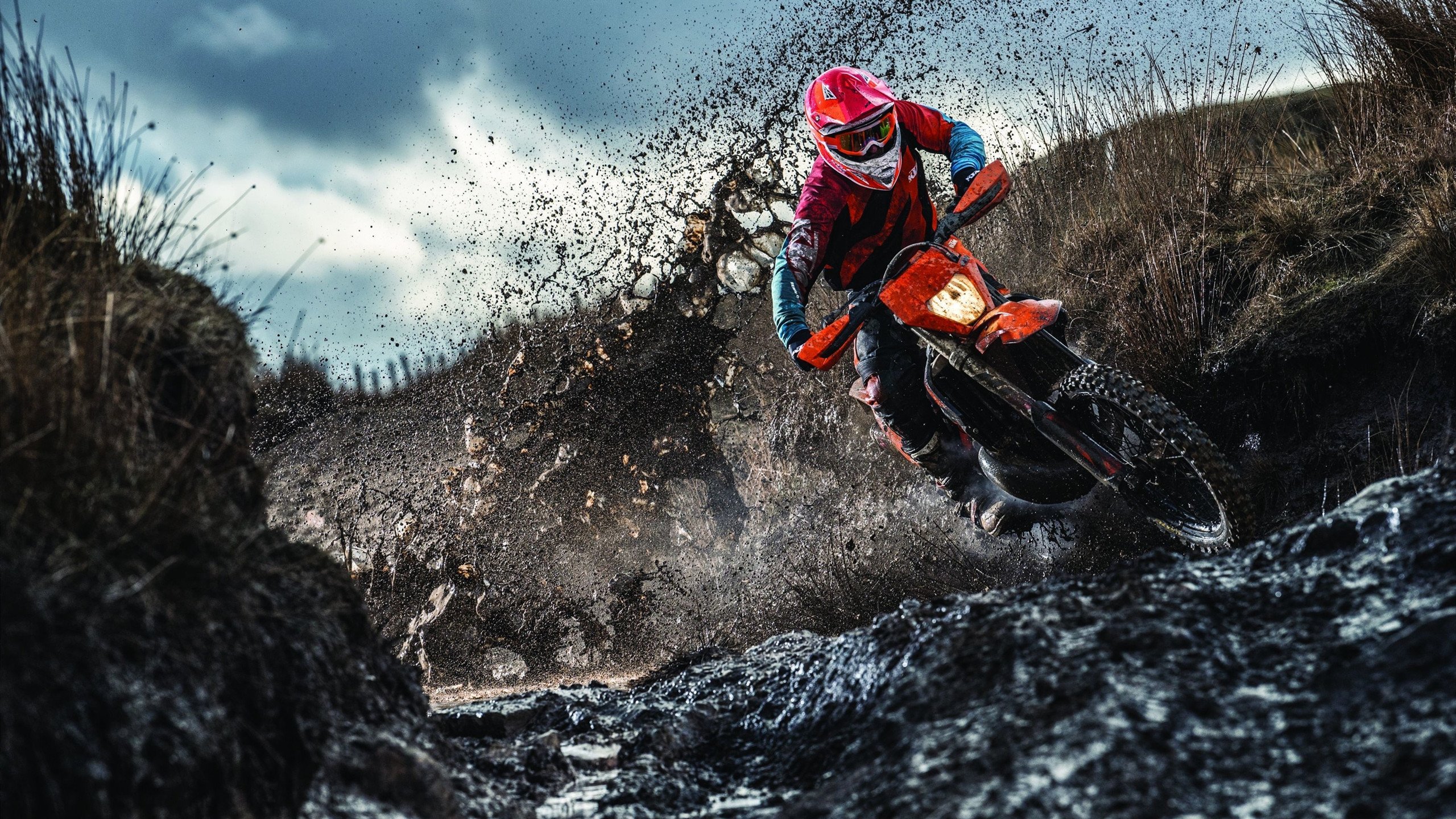 女子接力四人四风格 闪耀泳池，女子接力4乘100米视频游泳